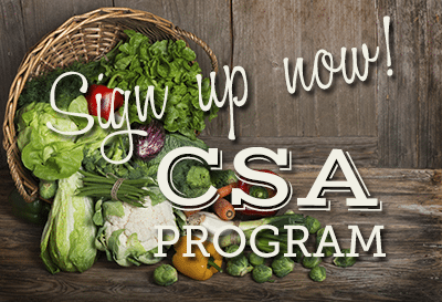 Csa Program Weekly Fruit Veggie Club Paulus Orchards